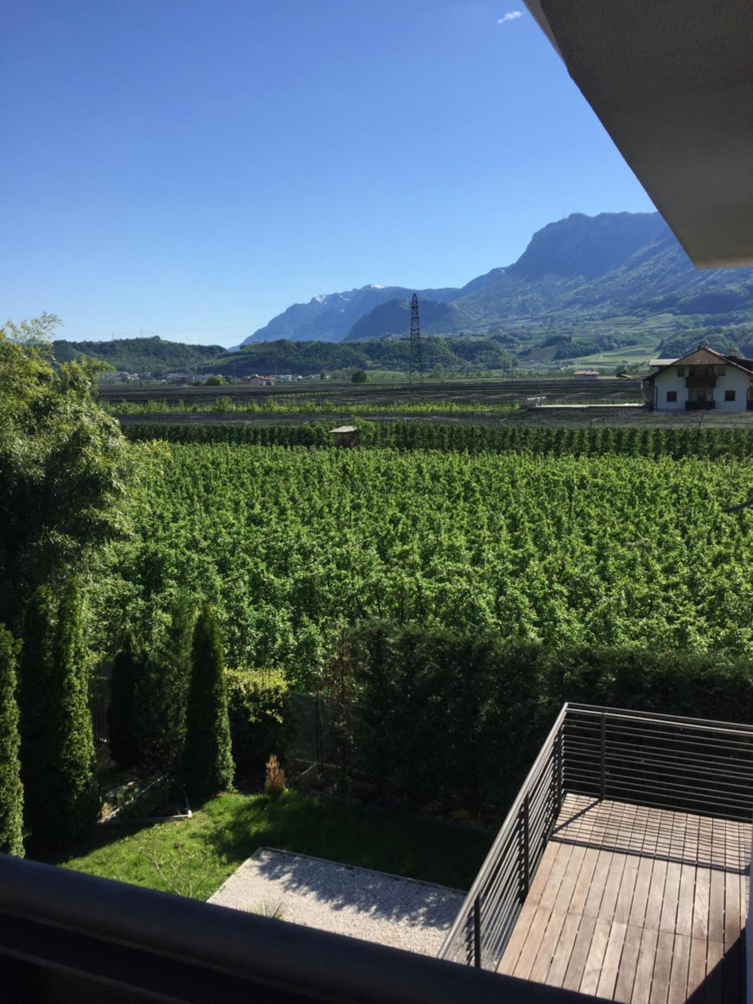B&B Mele D'Oro Bolzano Exterior photo